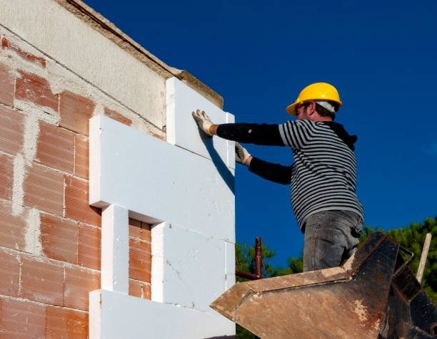 Best Cellulose Insulation in Northglenn, CO