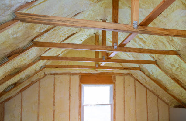 Best Specialized Insulation Services in Northglenn, CO