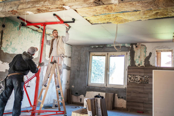 Best Geographic-Specific Insulation Services in Northglenn, CO