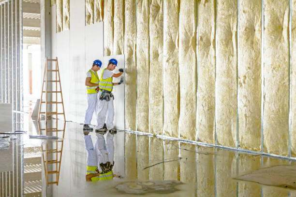 Best Blown-in Insulation in Northglenn, CO